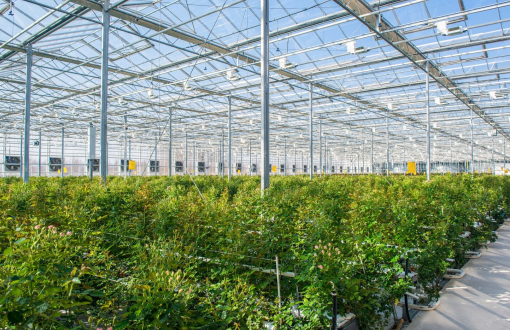 environmentally-friendly